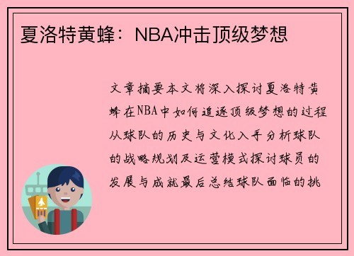 夏洛特黄蜂：NBA冲击顶级梦想